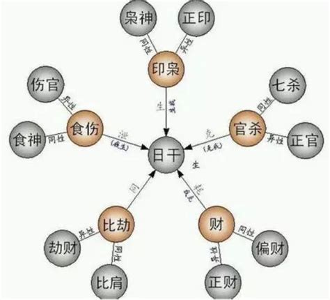 庚金 乙木|庚金：强健的甲木挡不住我的步伐，可是我过不了乙木这一关